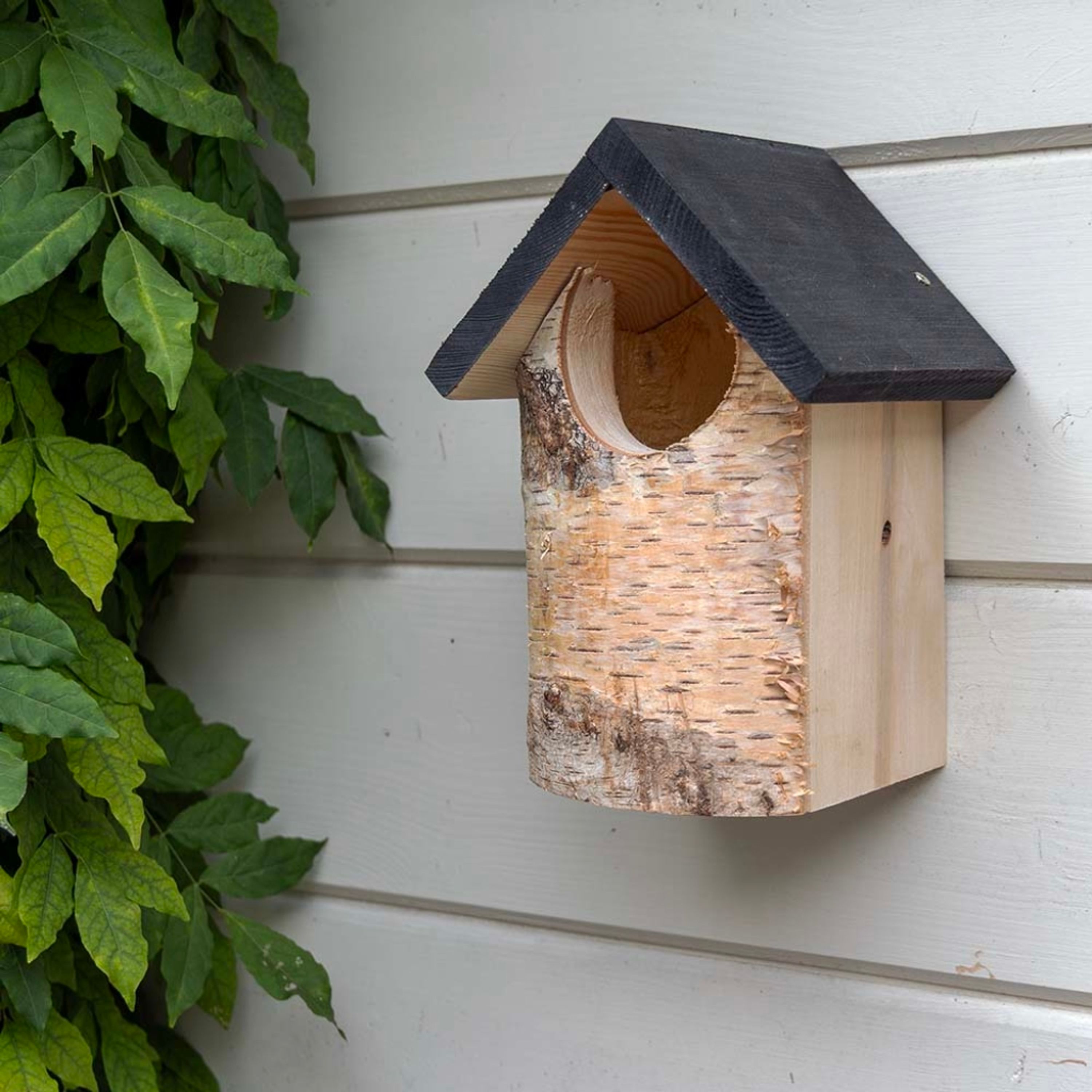 Birken-Nistkasten „Kingston“ halboffen | Vogelhaus Birkenholz | CJ Wildlife